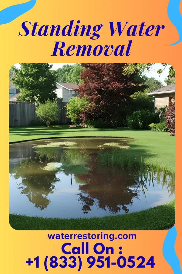 Standing Water Removal in San Leandro, CA